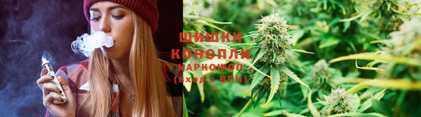 ГАЛЛЮЦИНОГЕННЫЕ ГРИБЫ Балабаново