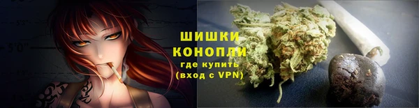 ГАЛЛЮЦИНОГЕННЫЕ ГРИБЫ Балабаново