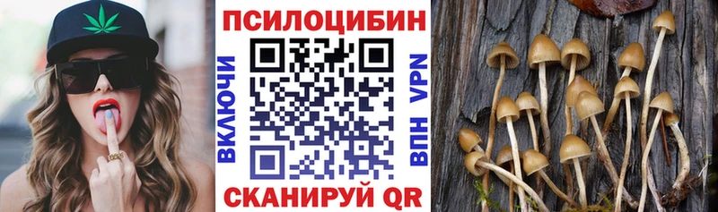 Псилоцибиновые грибы мицелий  продажа наркотиков  Гагарин 