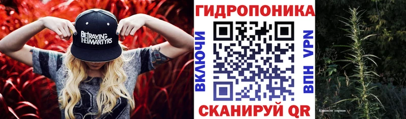 Каннабис VHQ Гагарин